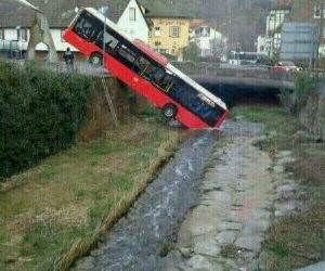 and here we see funny picture