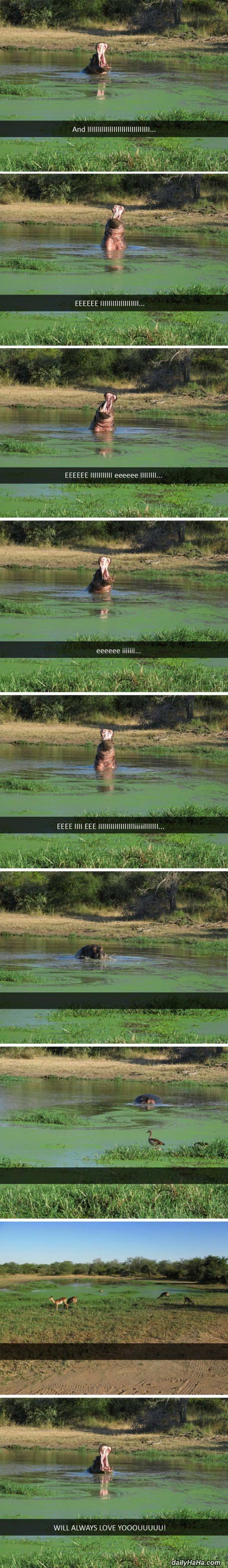 and iiiiiiiii funny picture