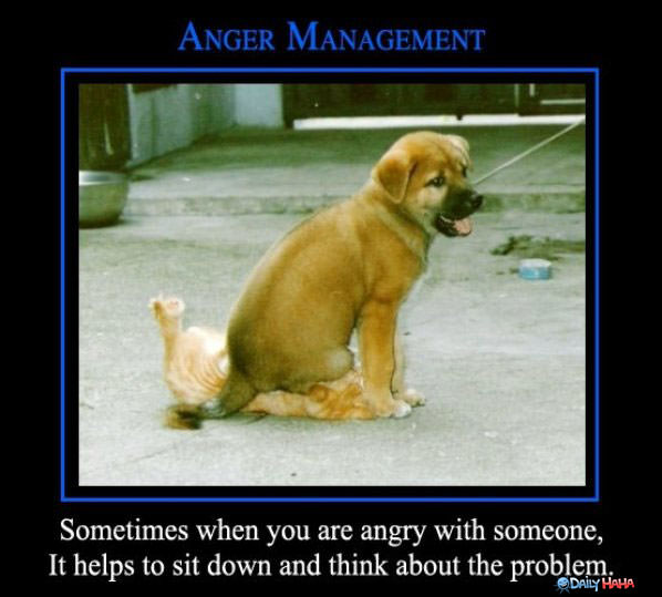 Anger Management funny picture