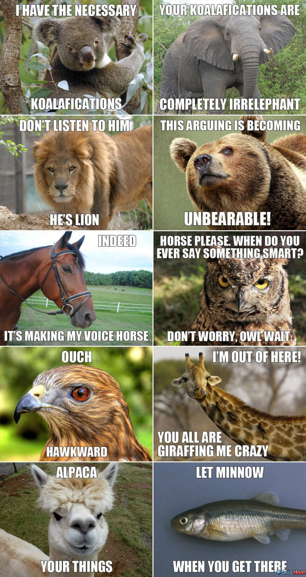 Animal Puns funny picture
