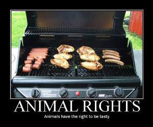 Animal Rights
