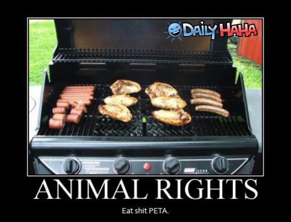 Animal Rights funny picture