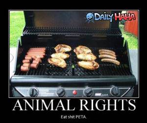 Animal Rights funny picture