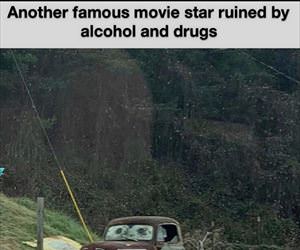 another famous movie star