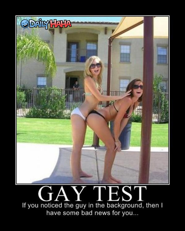 Another Gay Test funny picture
