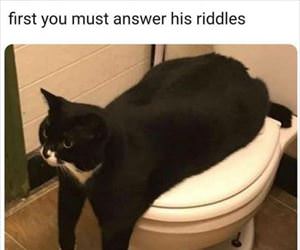 answer these riddles