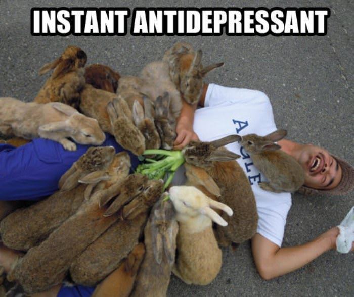 antidepressant funny picture