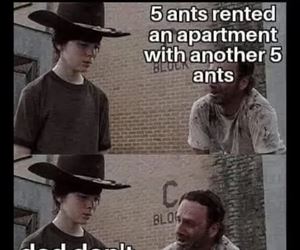 ants ... 2