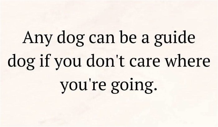 any dog
