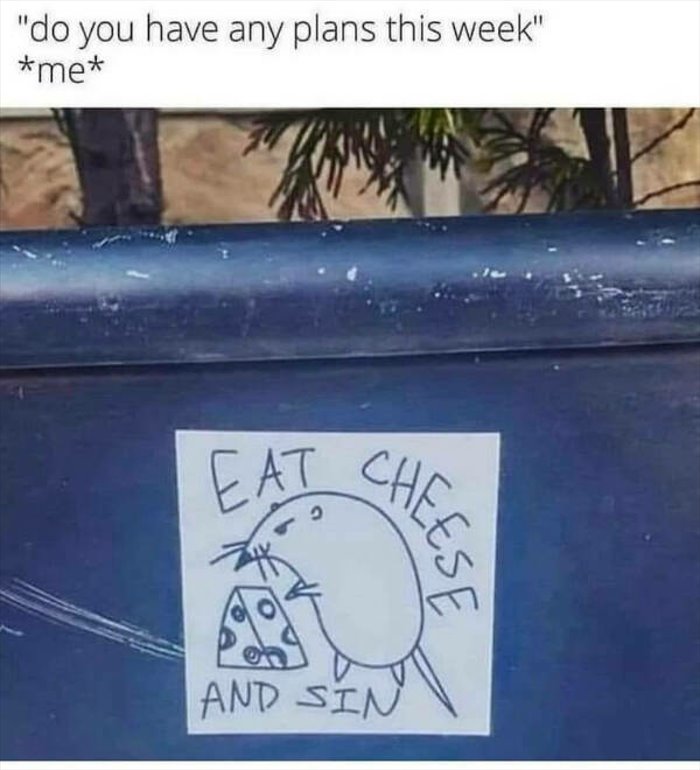 any plans this weekend