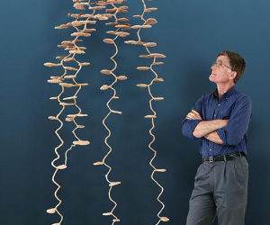 any colony funny picture