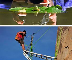 anything for a good photo funny picture