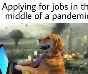 applying for a job