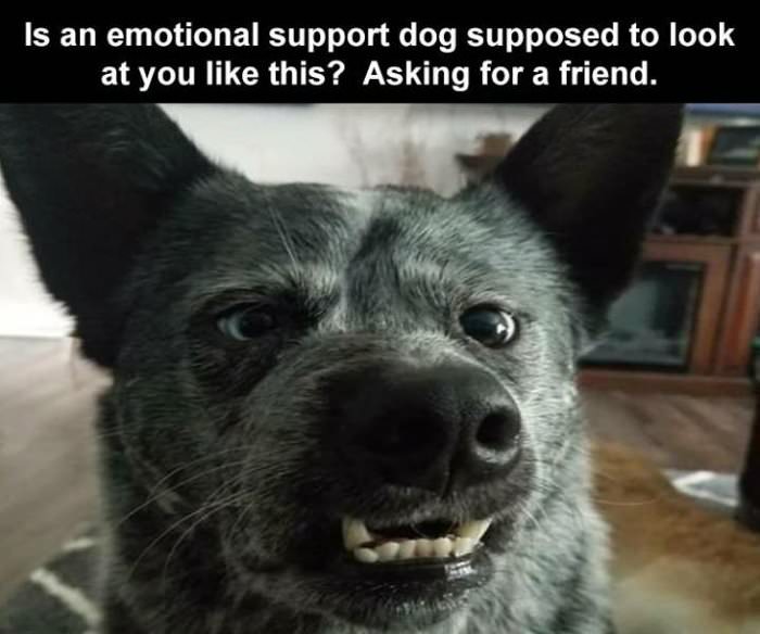 are they supposed to look like this