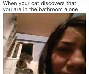 are you in here alone