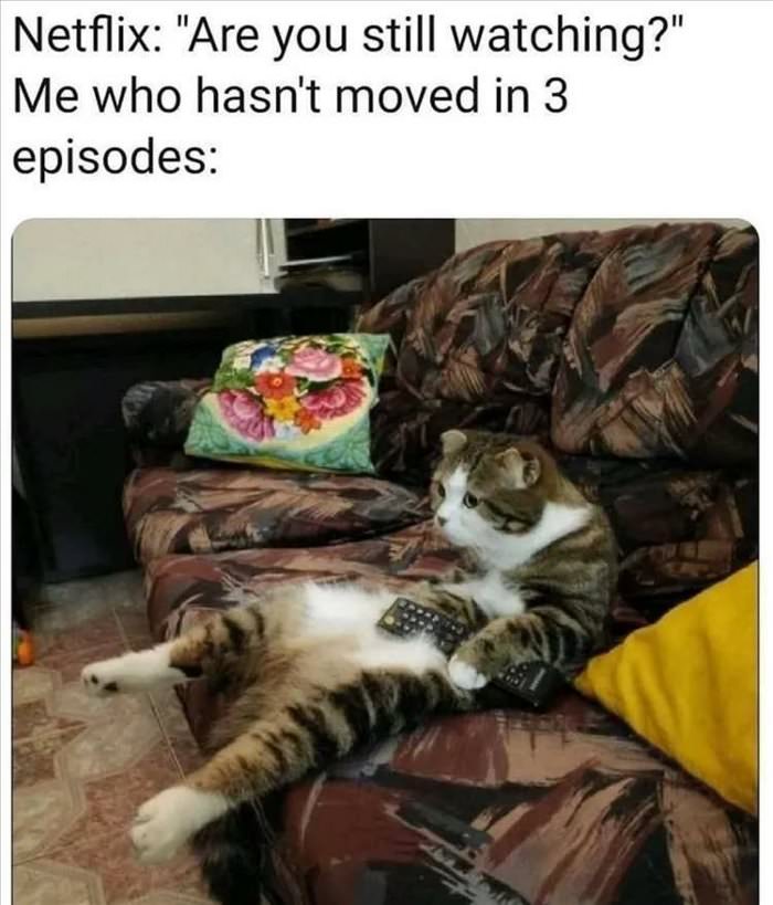 are you still watching ... 2