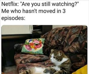 are you still watching ... 2