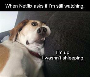 are you still watching