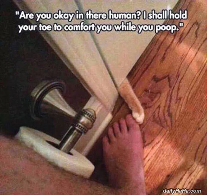 are you ok human funny picture