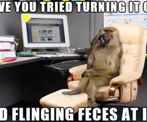 are you sure you tried everything funny picture