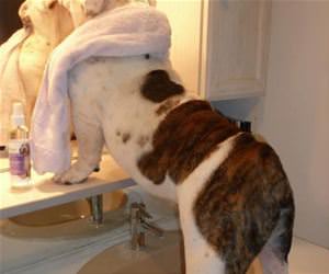 arent i beautiful funny picture