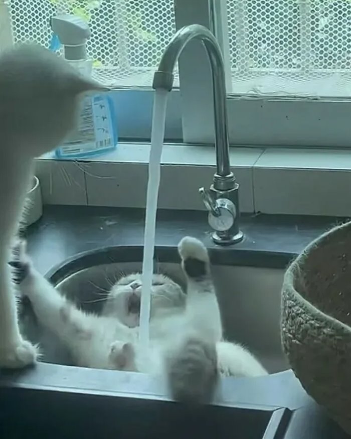 arghhhhhhh ... 2