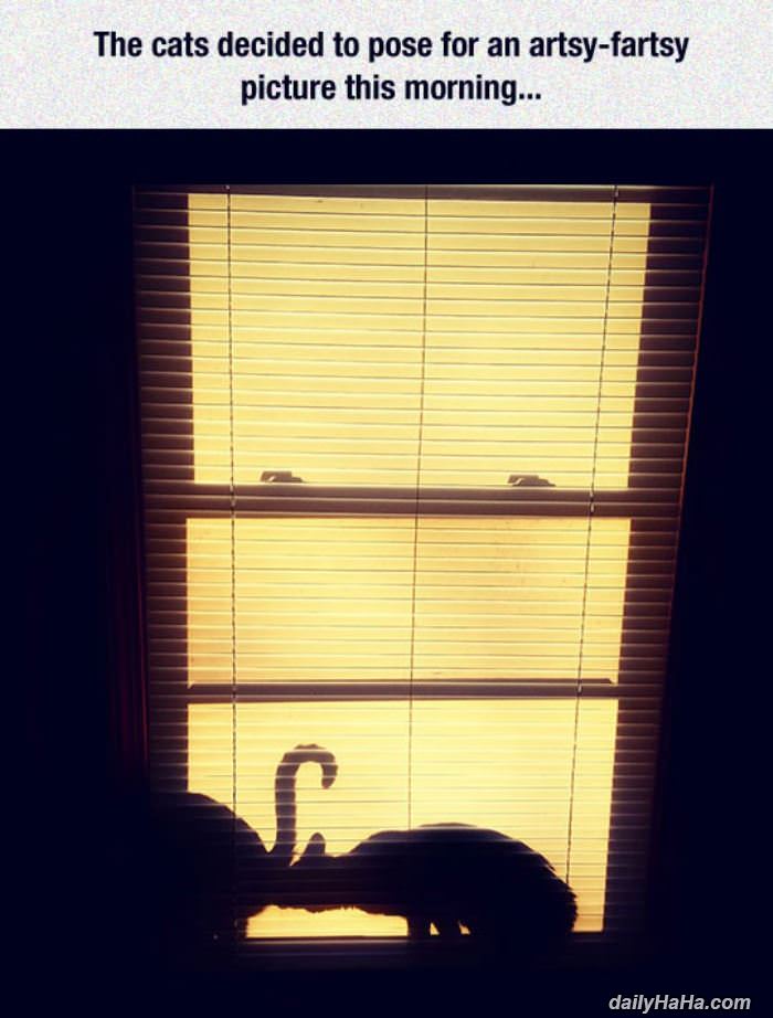 artsy fartsy picture funny picture