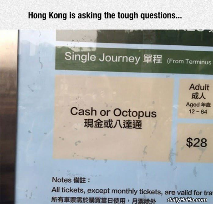 asking the tough questions funny picture