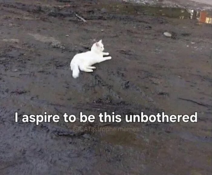 aspirational