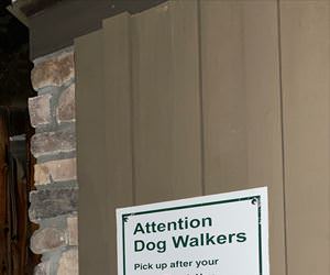 attention dog walkers
