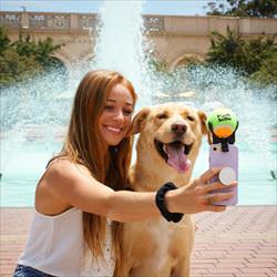 attention for selfies