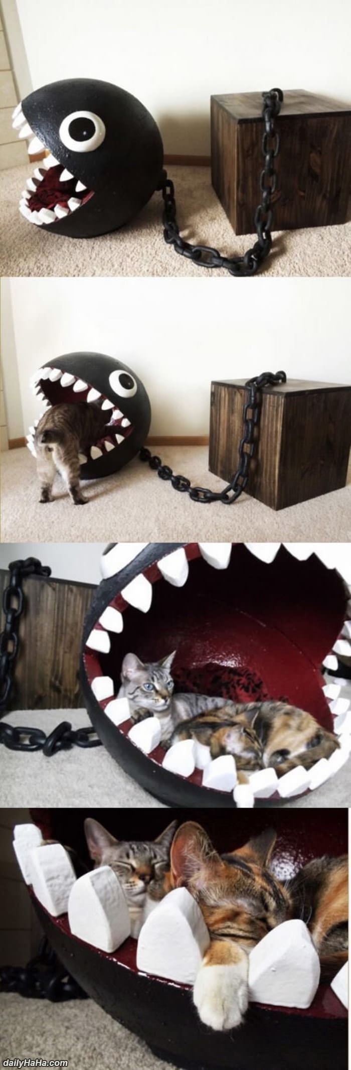 awesome cat bed funny picture