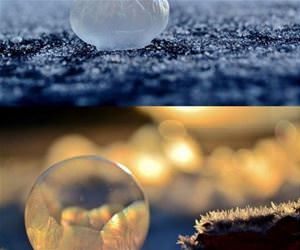 awesome frozen bubbles funny picture