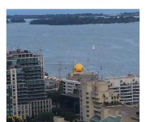 awesome investment funny picture