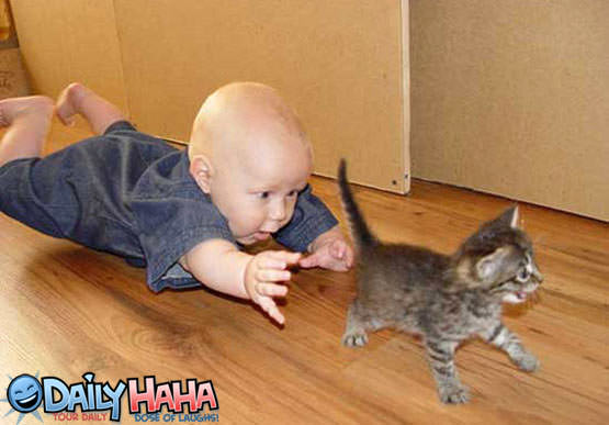 Baby Chasing a Kitten