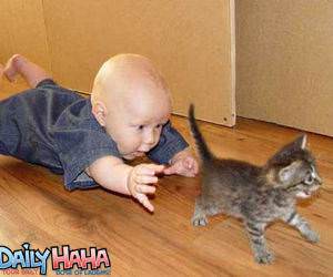 Baby Chasing a Kitten