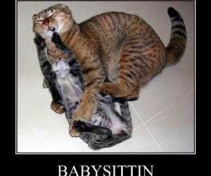 Babysitting funny picture