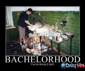 Bachelorhood funny picture