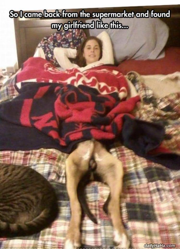 back from supermarket funny picture