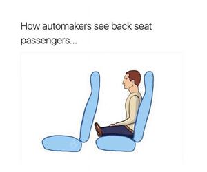 back seats of cars funny picture