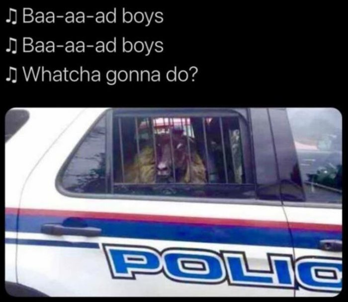 bad boys