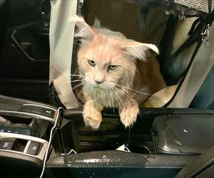 bad day for this guy