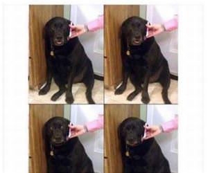 bad lab results funny picture