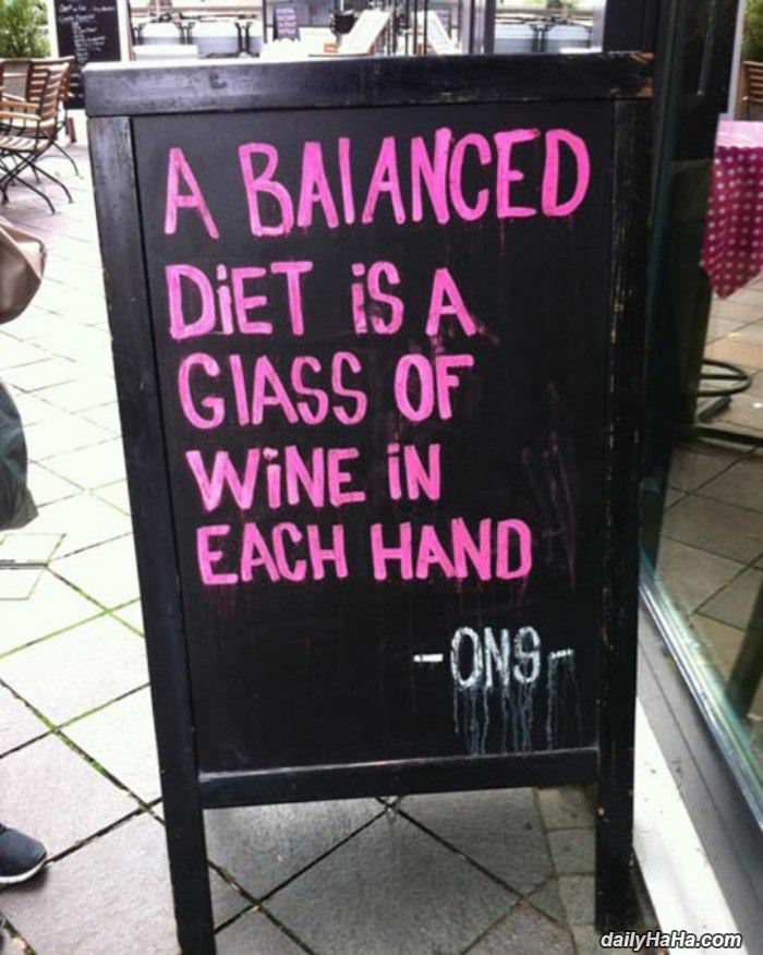 balanced diet funny picture