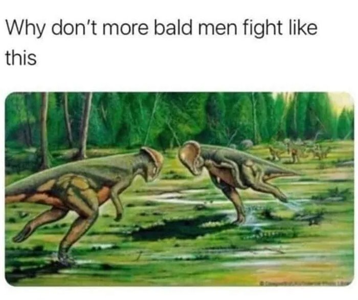 bald men