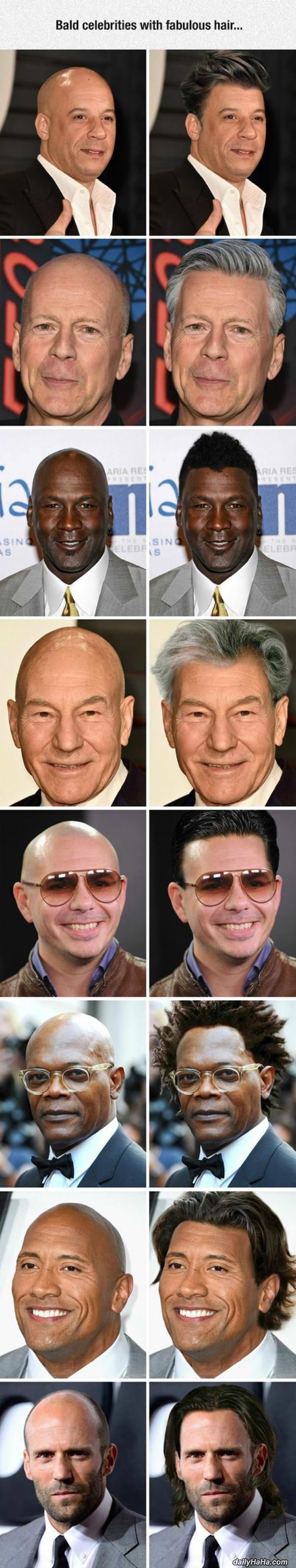 bald celebrities with fabulous hair funny picture