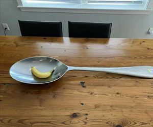 banana for scale