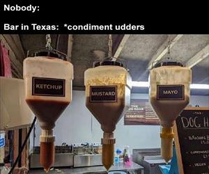 bar in texas