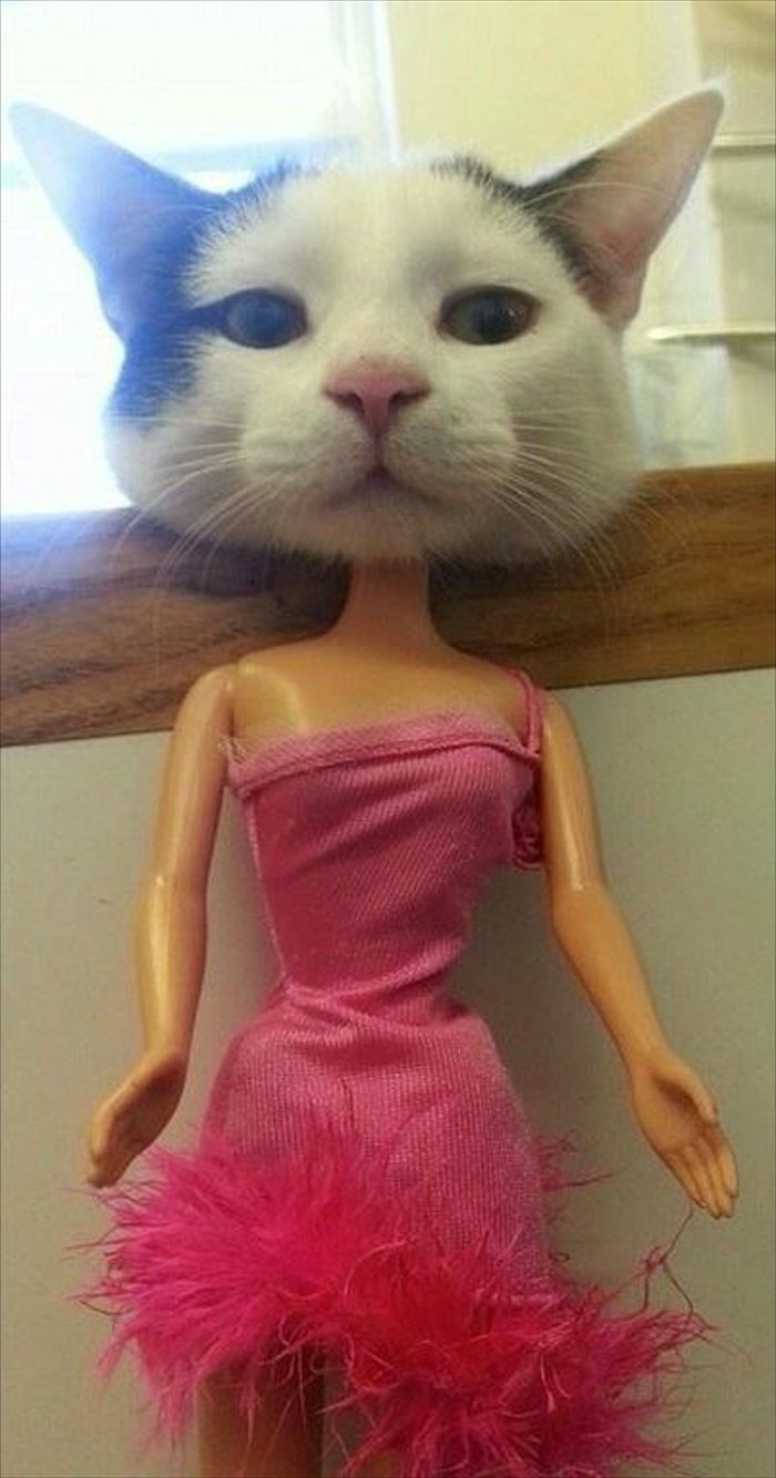 barbie has a head