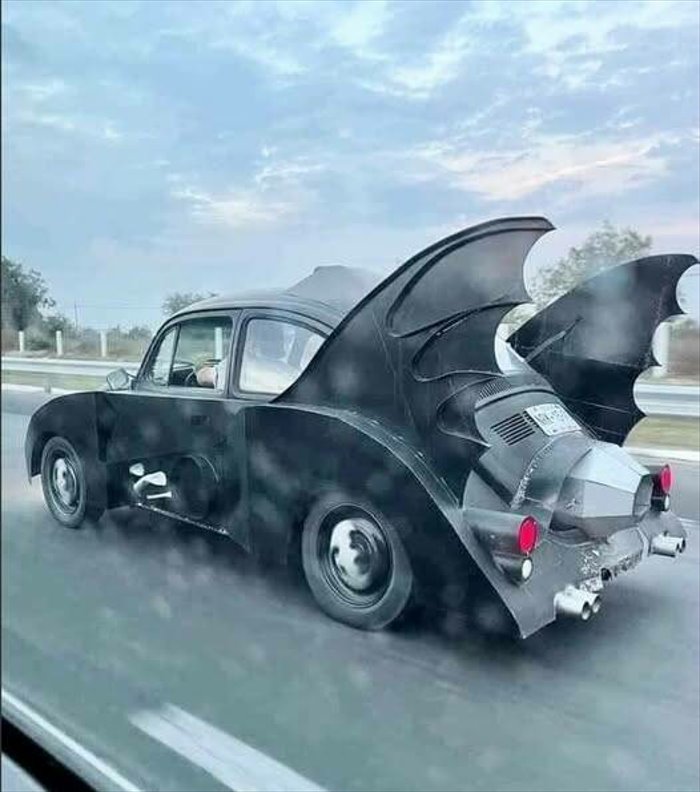 bat bug